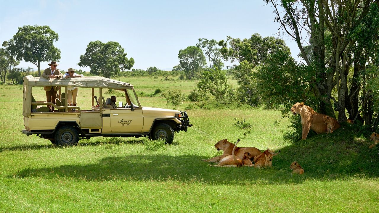 Expérience de SAFARI pour Couple