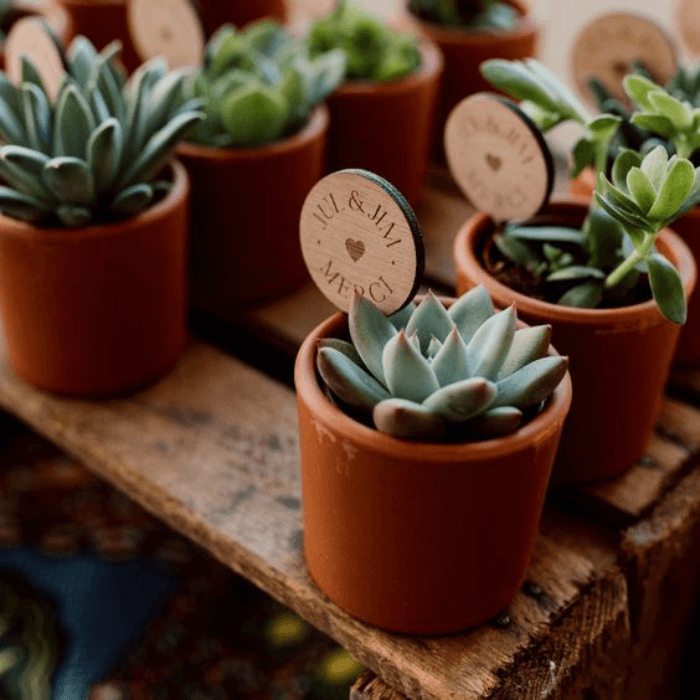 Offrez à vos invités une petite plante grasse, symbole de croissance et de bonheur