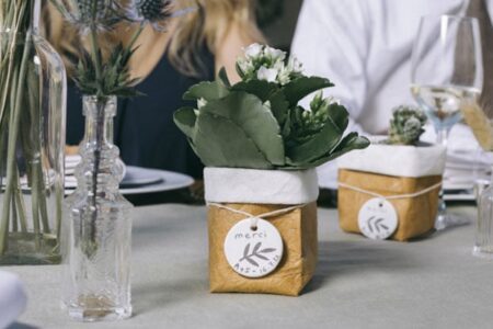 Offrir Des Cadeaux Invité Mariage Plante