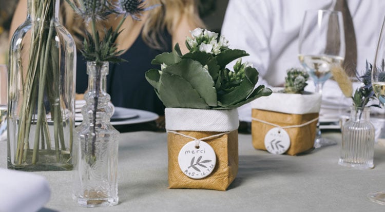 Offrir Des Cadeaux Invité Mariage Plante