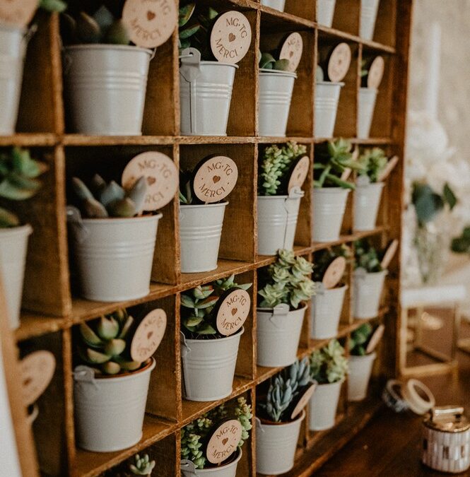 Choisissez Des Plantes Comme Des Idées Cadeaux Invités Mariage Femmes