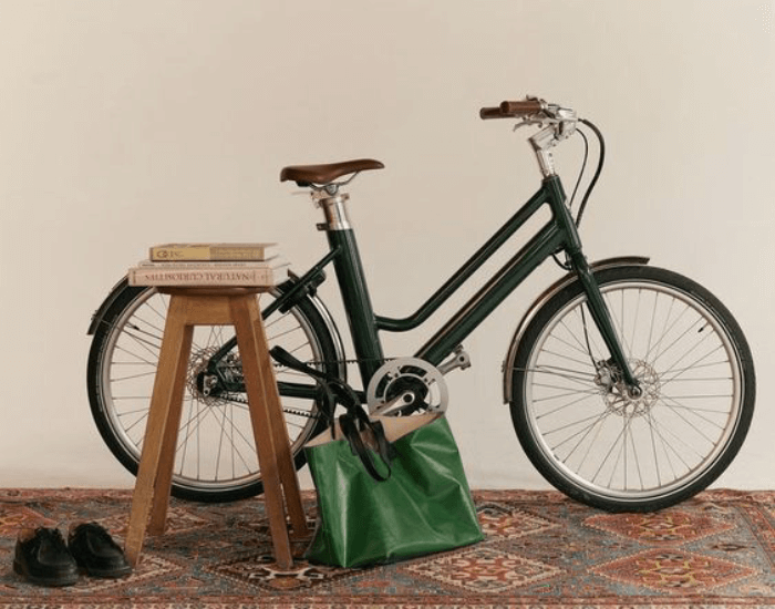 Vélo Électrique Design avec Batterie Amovible